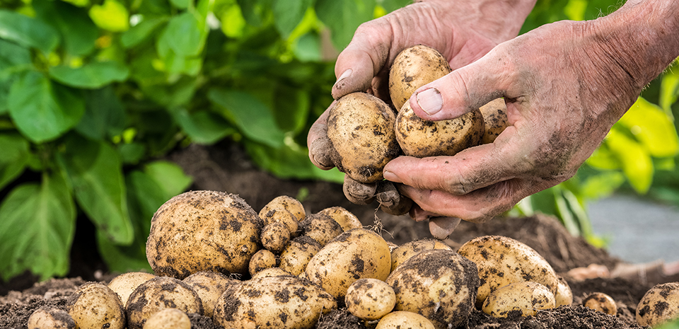 食在台灣‧本土小農故事